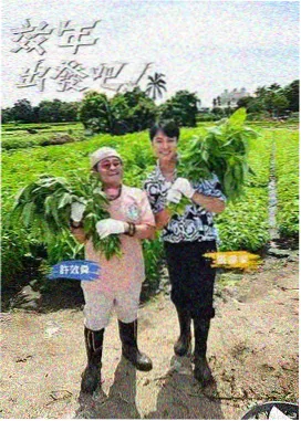 人类观察学 新季